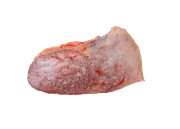 COW SPLEEN KG