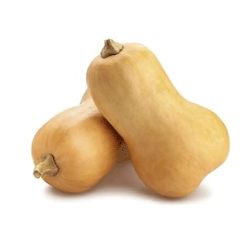 BUTTERNUT SQUASH / KG