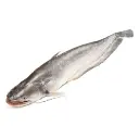 BOAL UPTO 3 KG
