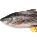 ROHU BETWEEN 3.1 TO 5 KILO