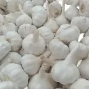 GARLIC MEDIUM BAG / EACH