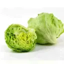 LETTUCE EACH
